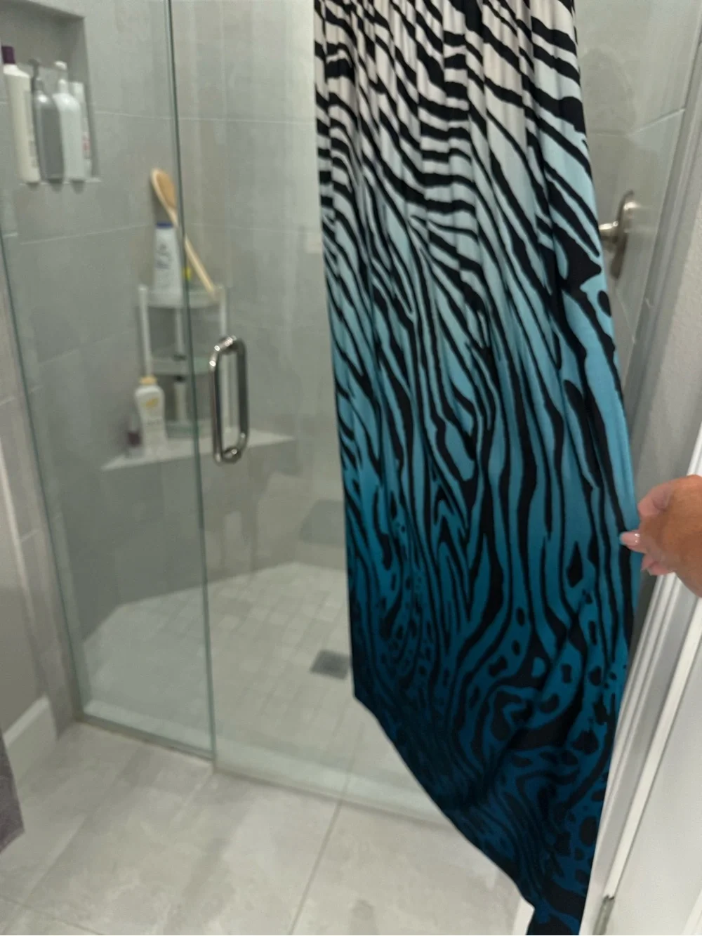 bebe Black and Blue Ombre Zebra Print Shower Curtain